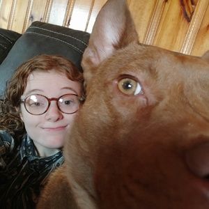 Meet your Posher, Mollie